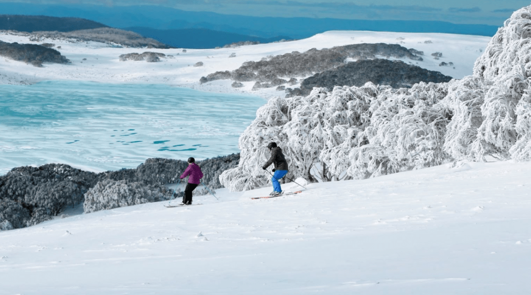 这个周末，墨尔本人不在滑雪，就在去雪山的路上~