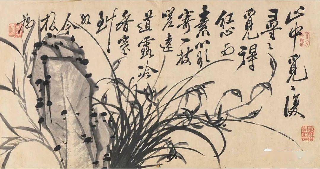 郑燮《兰石图册》欣赏_板桥_兰花之_乾隆