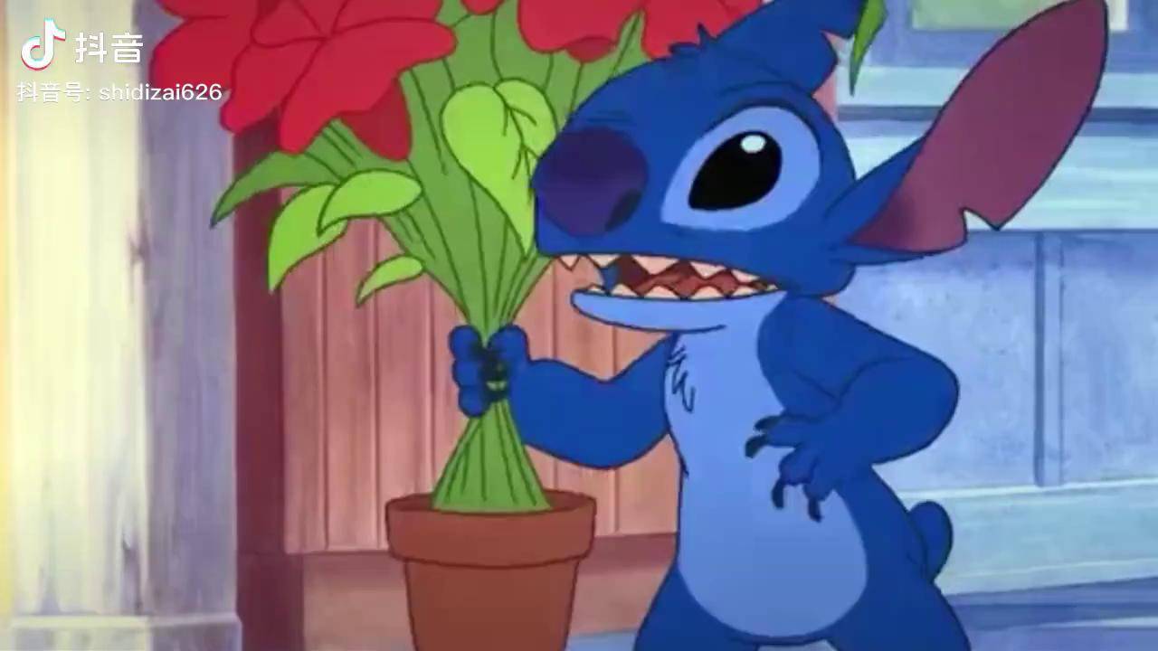 史迪仔安琪史迪仔星际宝贝元气动漫班