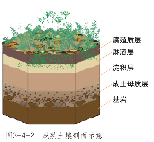 地下土壤分层图图片