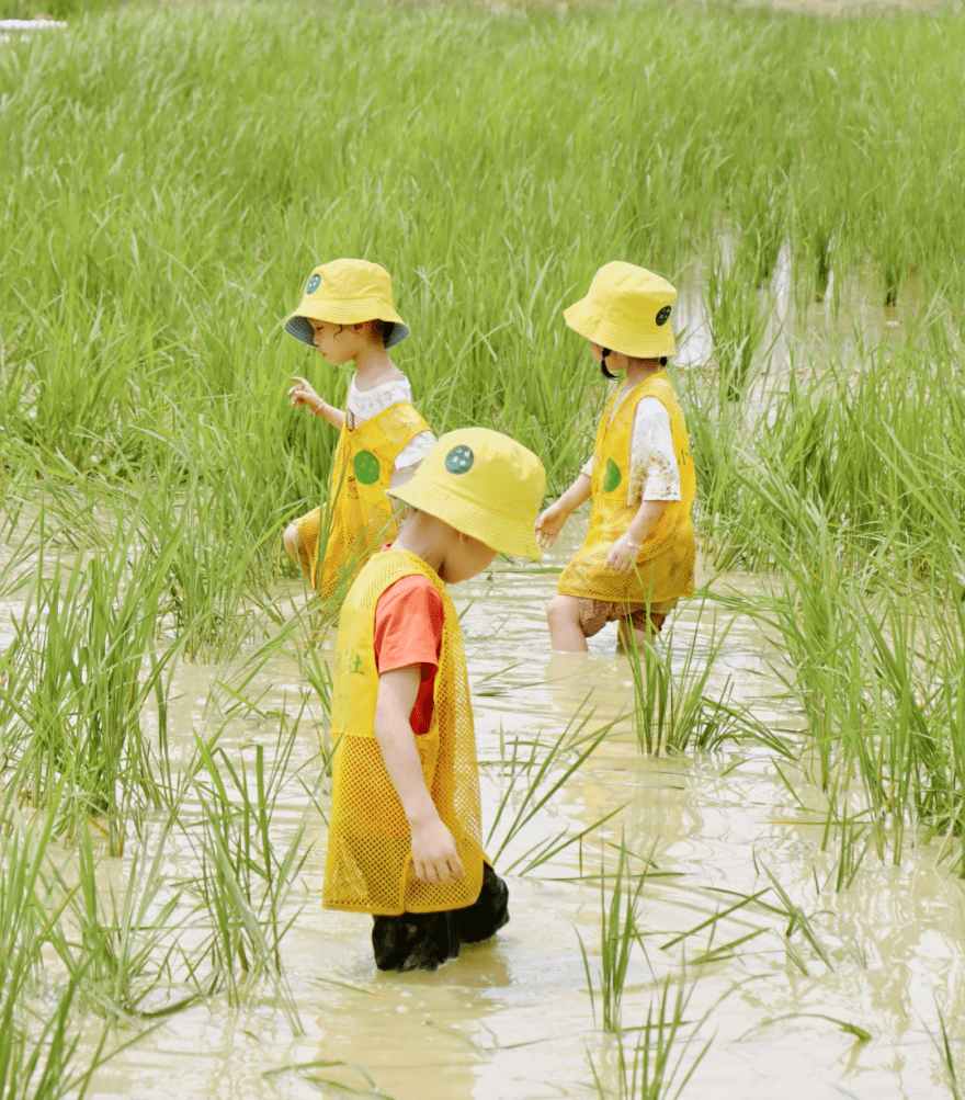 向往的田园生活到乡间当一名快乐小农夫