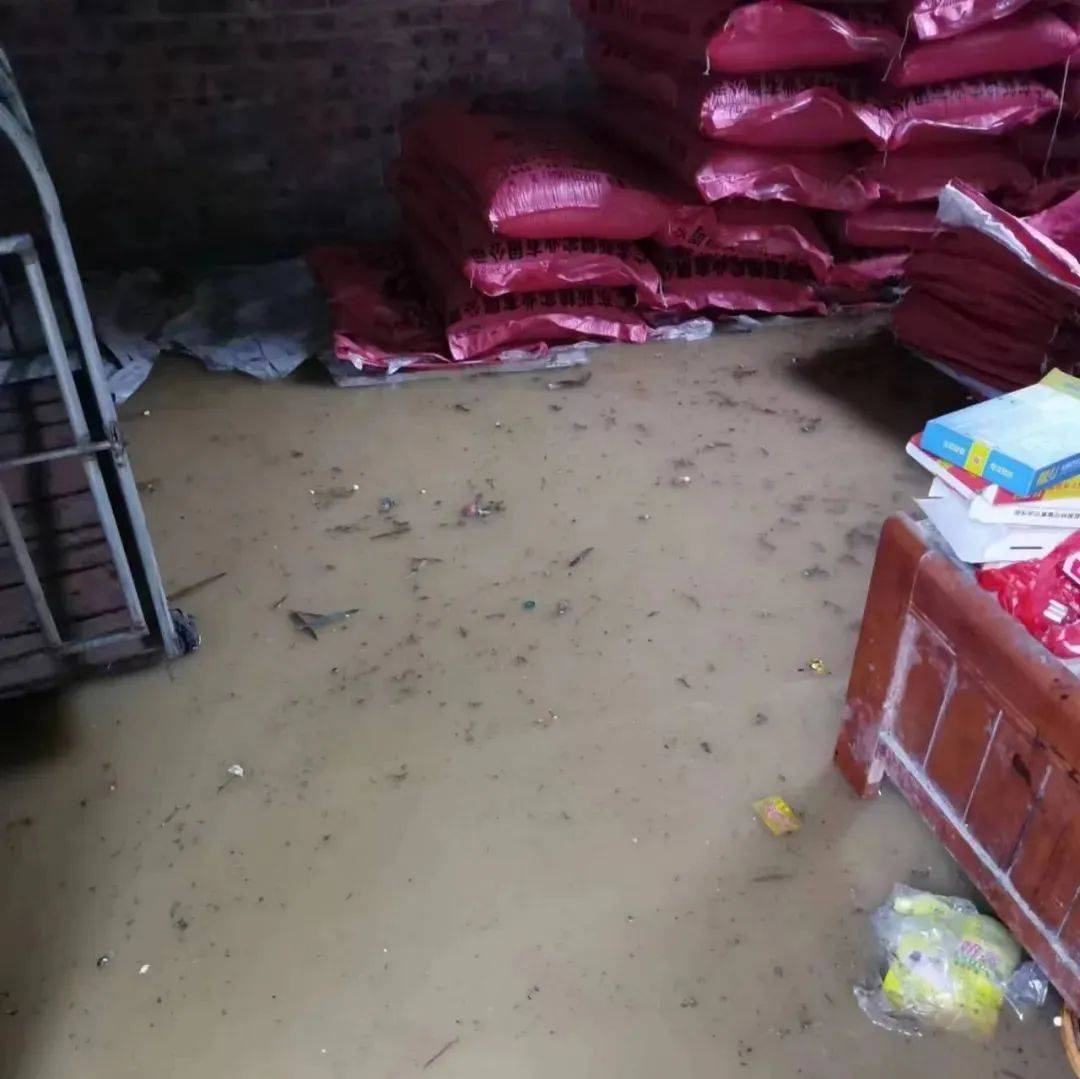 天灾还是人为?博白一乡镇养猪老板的猪饲料被淹_雨水_下雨天_损失