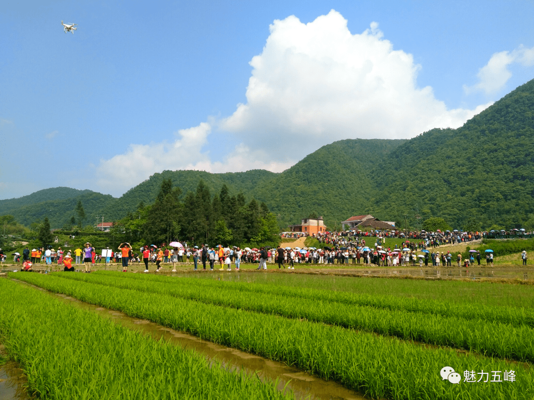 长乐坪镇