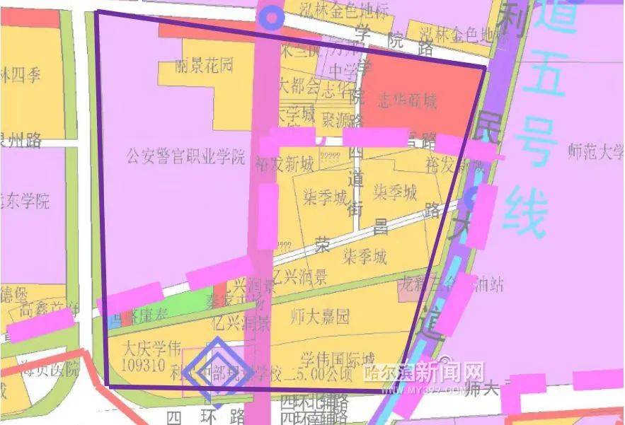 步入新区教育矩阵哈尔滨新区3所公办学校正式招生