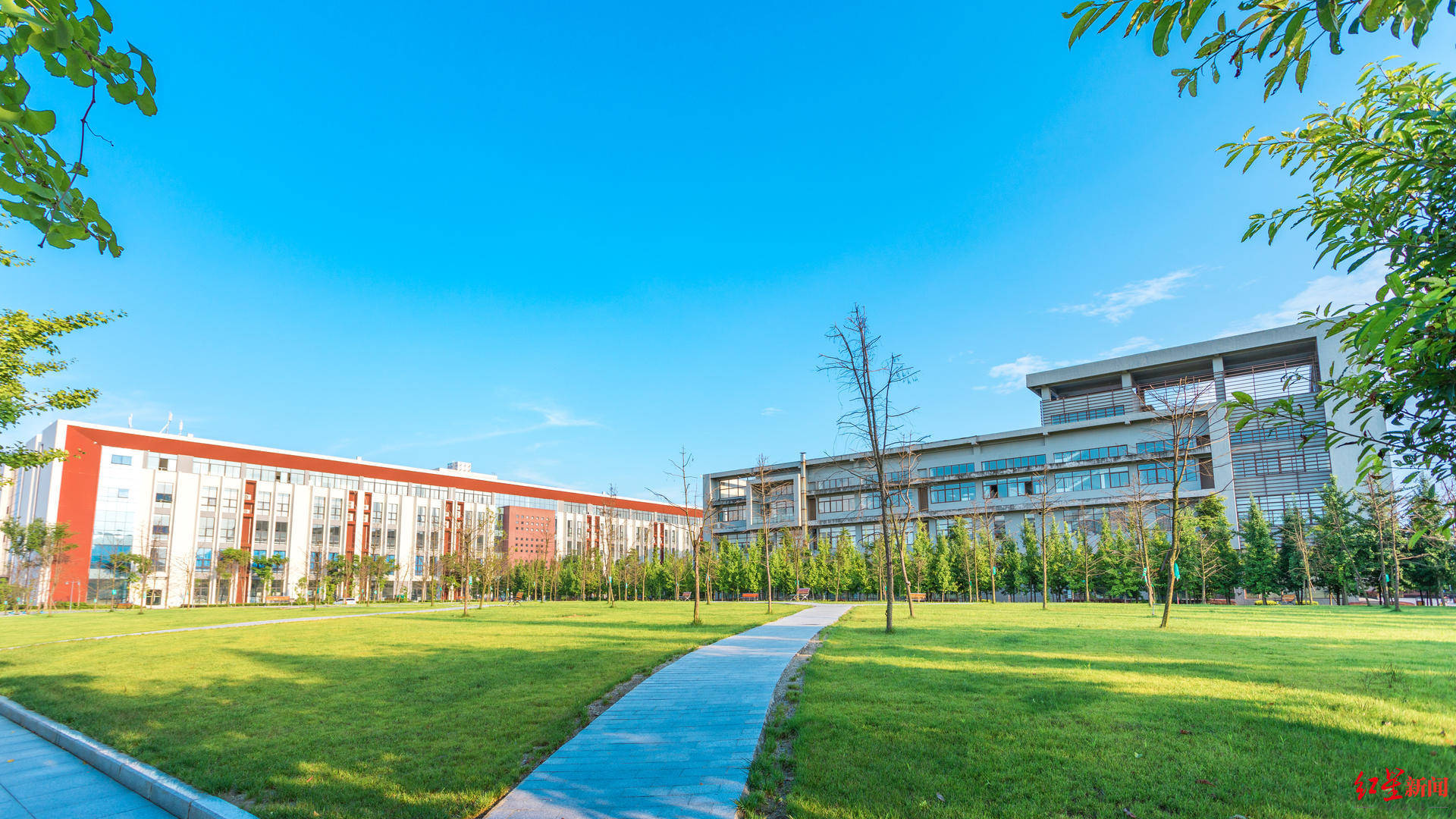 新增1个本科专业西华大学2022年计划招生8830人