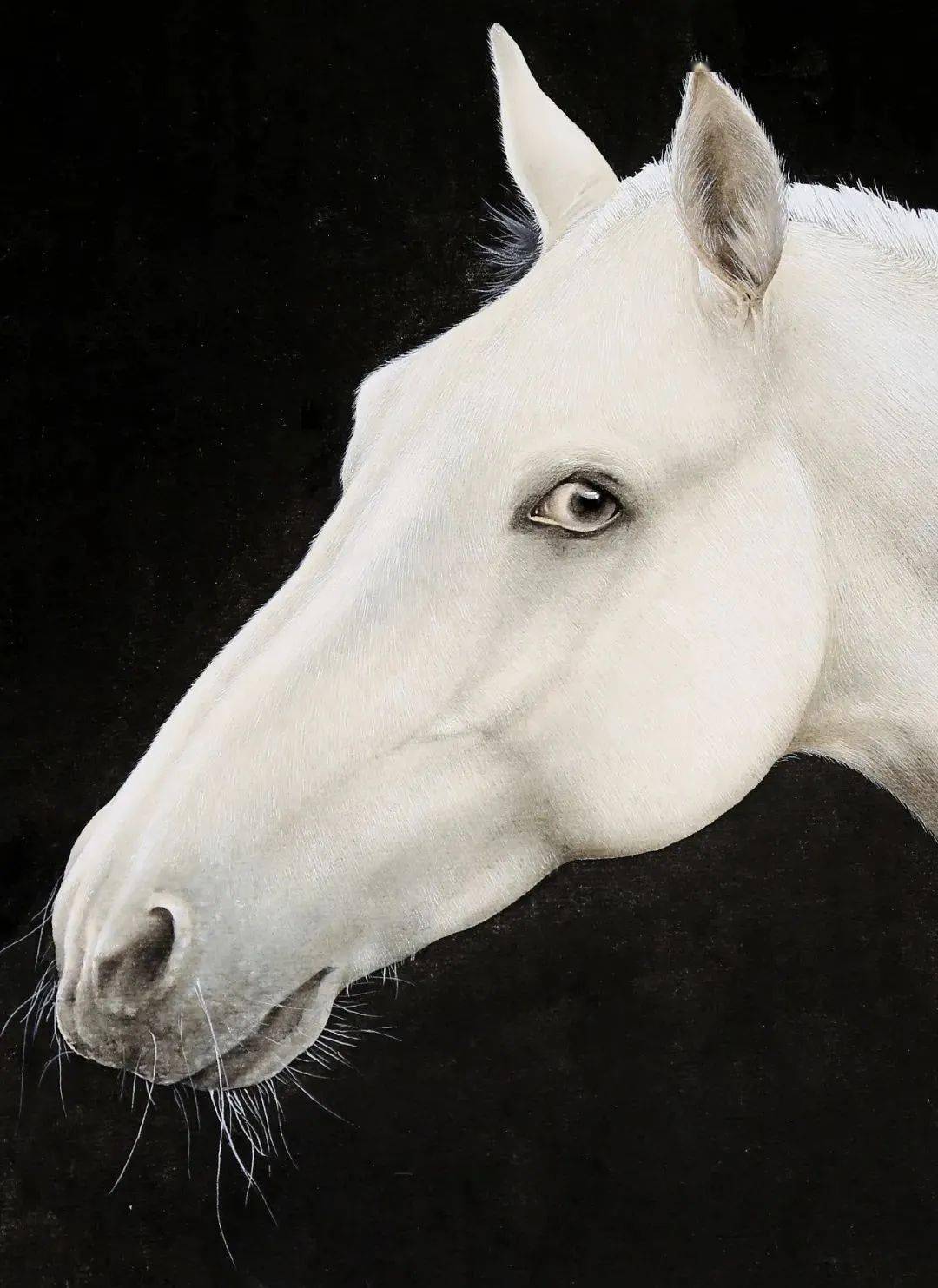 丁玉蝶 马_丁己_写实_国画