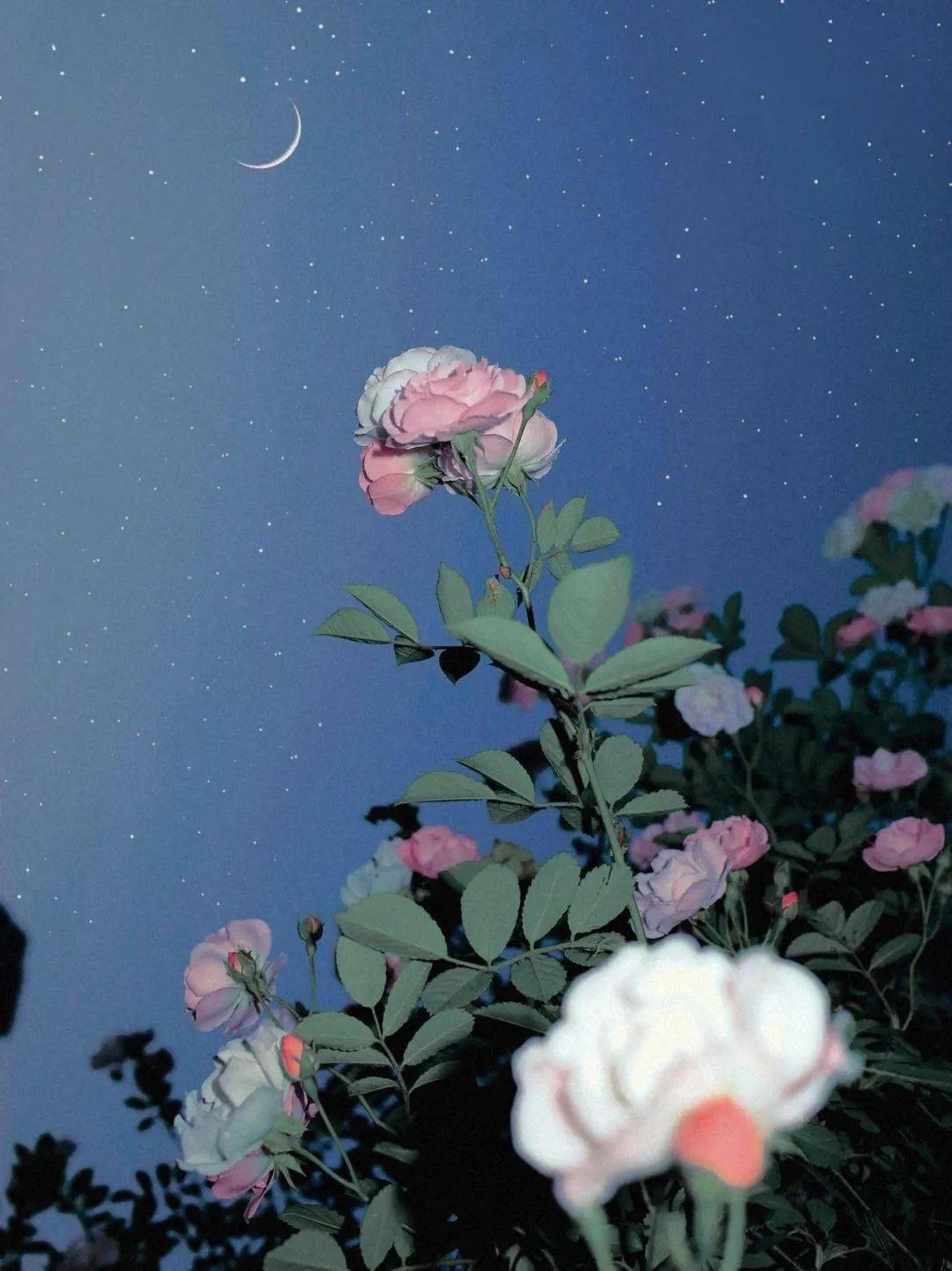 20w人喜欢的神图是这样调色的