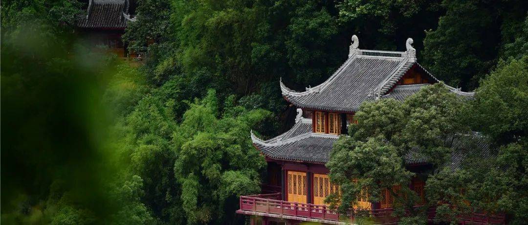 大佛脚下的慢生活丨深山翠碧 美好相伴_带着_河风_阳光