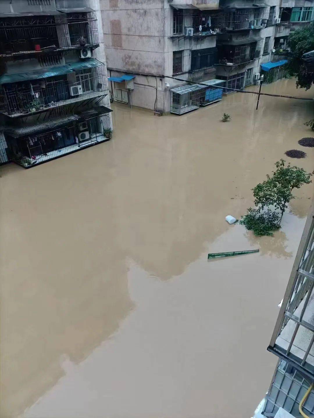 三明最新讯情市区多地被淹比永安更严重