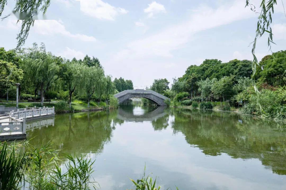 江苏靖江西郊公园的山水盆景堪比桂林阳朔山水不来绝对吃亏哦