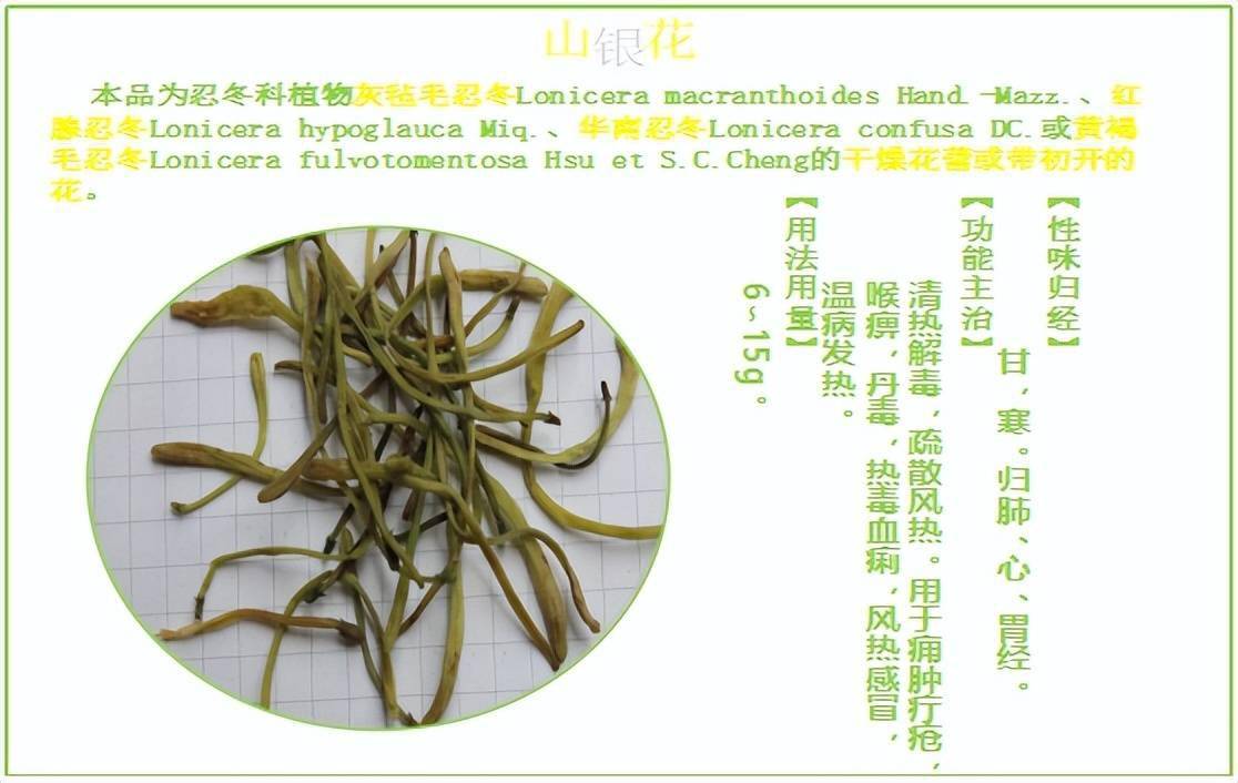 谁说便宜没好货山银花高性价比的中药