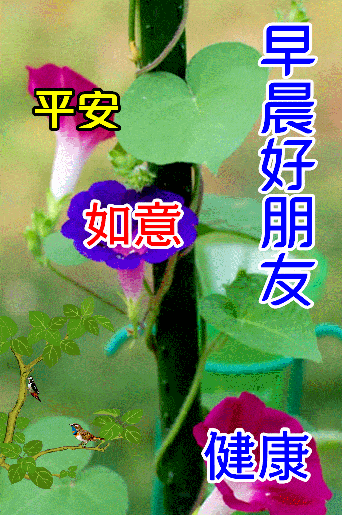 6月14日最新創意好看的朋友圈早安問候祝福圖片精選免打字的夏日清晨