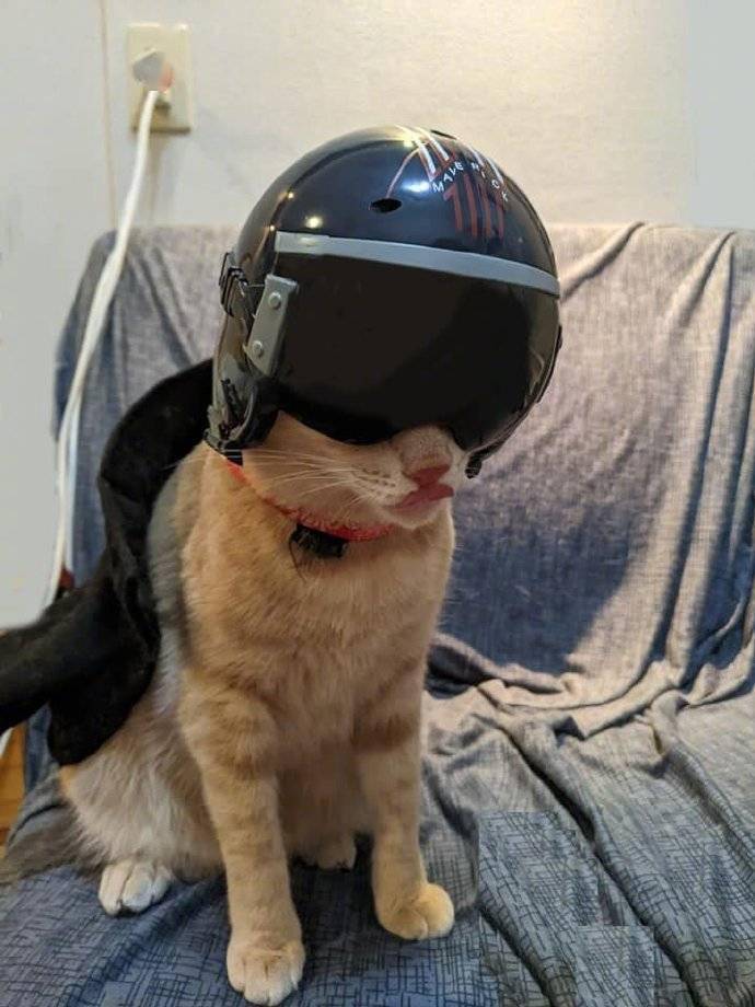 壮志凌云电影造型头盔饮料可玩性不输可达鸭