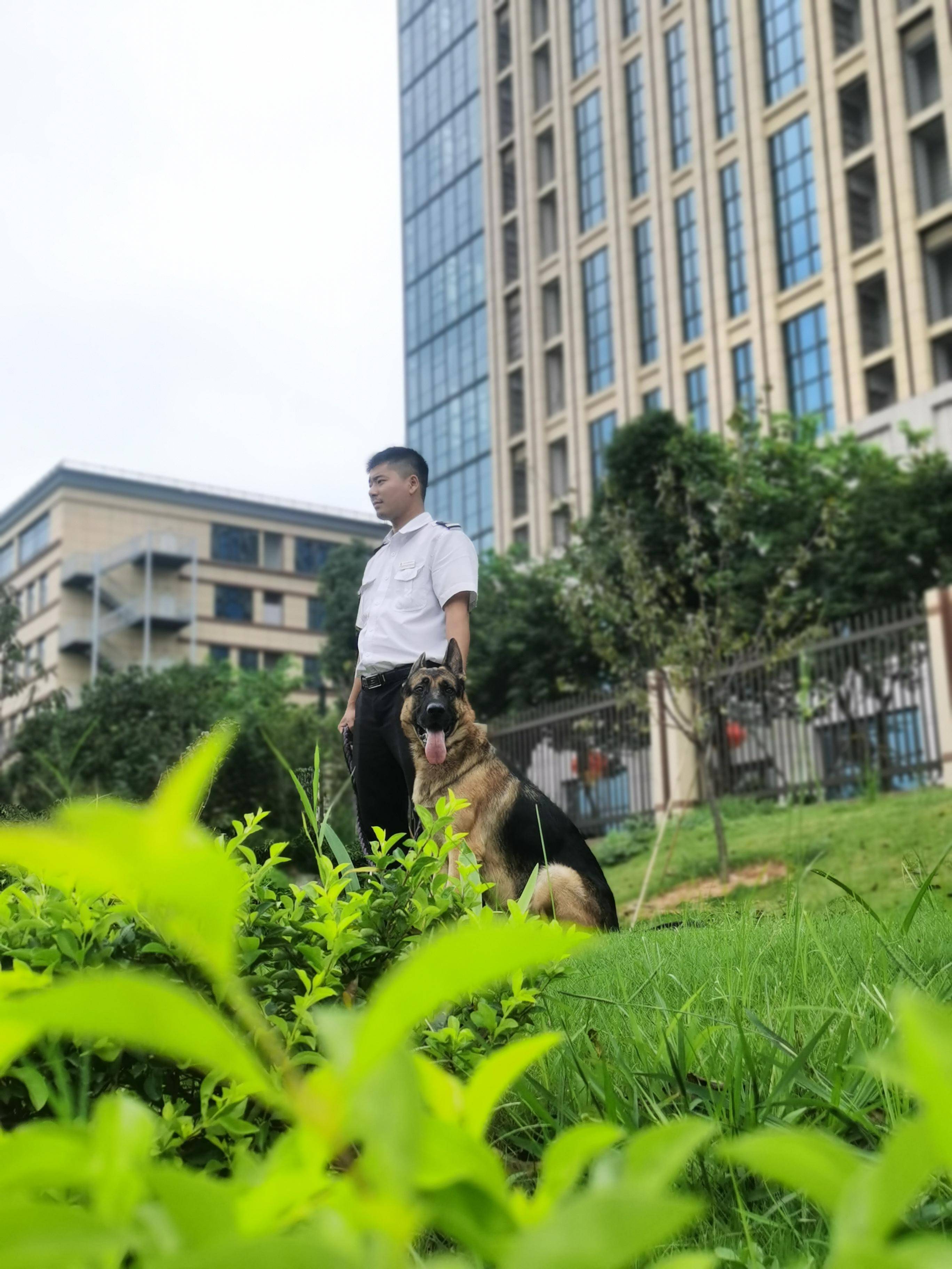 在整个华创园区还住着来福的几个小伙伴