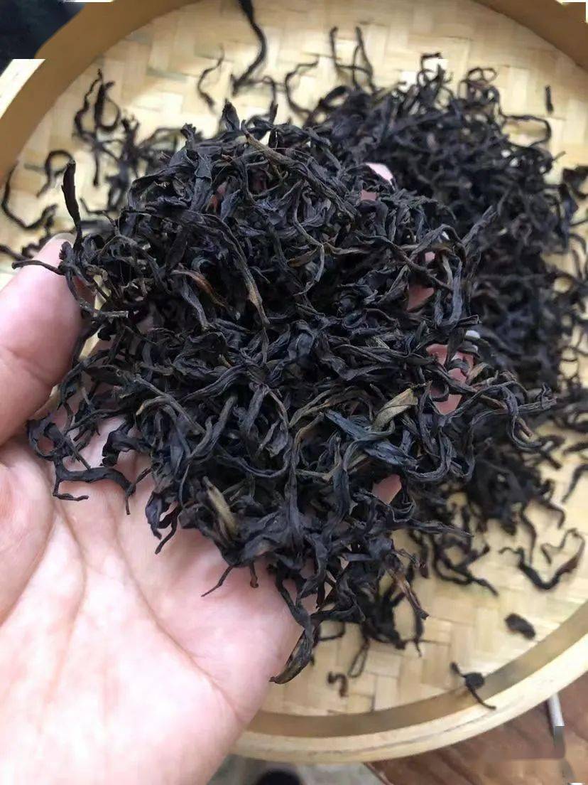 锯朵仔是什么茶