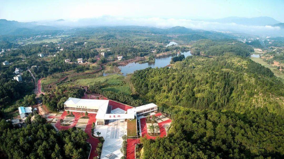 武平林改20年 | 千鹭湖由此得名,名不虚传!_湿地_白鹭_生态