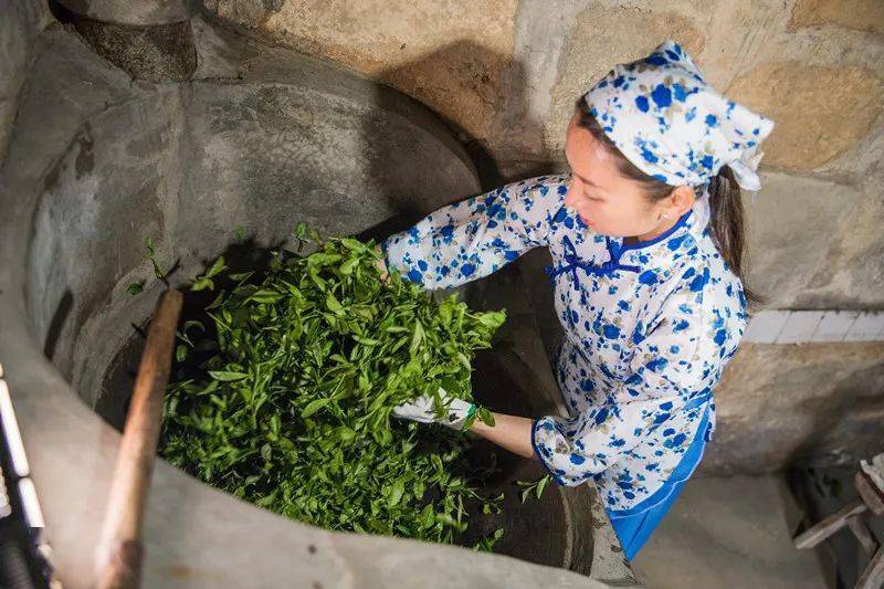 赣州三农寻乌县丹溪乡清溪村做强绿茶产业提升村庄颜值