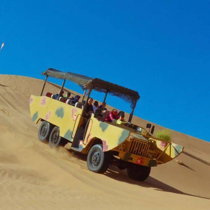 快来get沙坡头这份暑期攻略~_沙漠_项目_景区