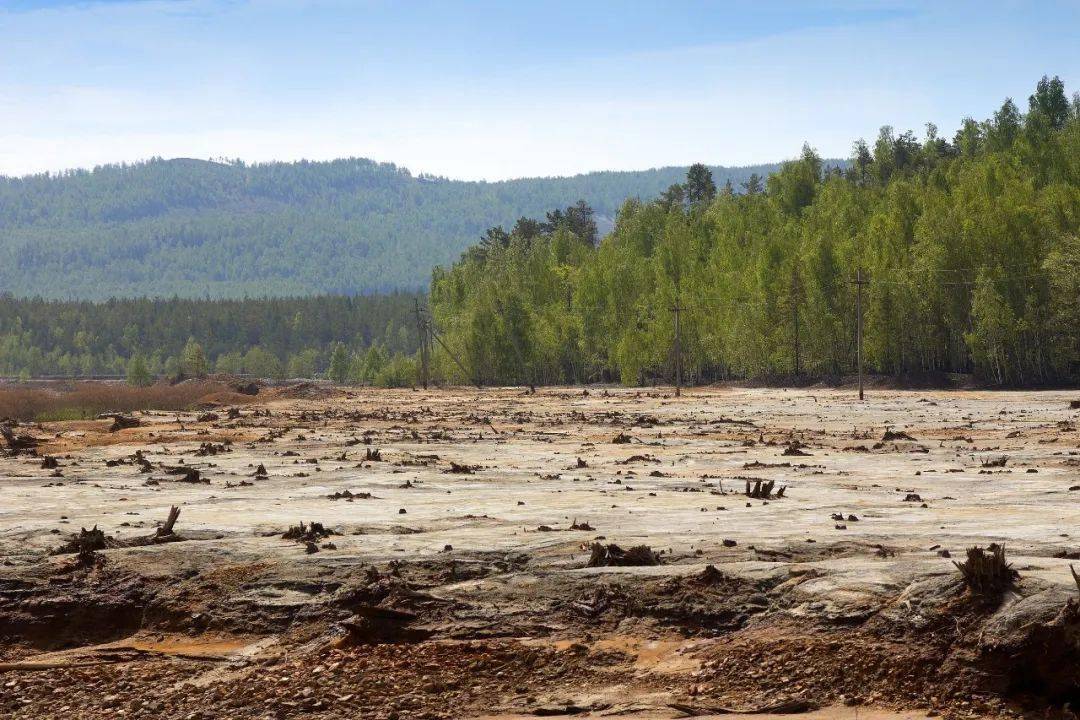 守护万物生灵的绿洲防治荒漠化与干旱迫在眉睫