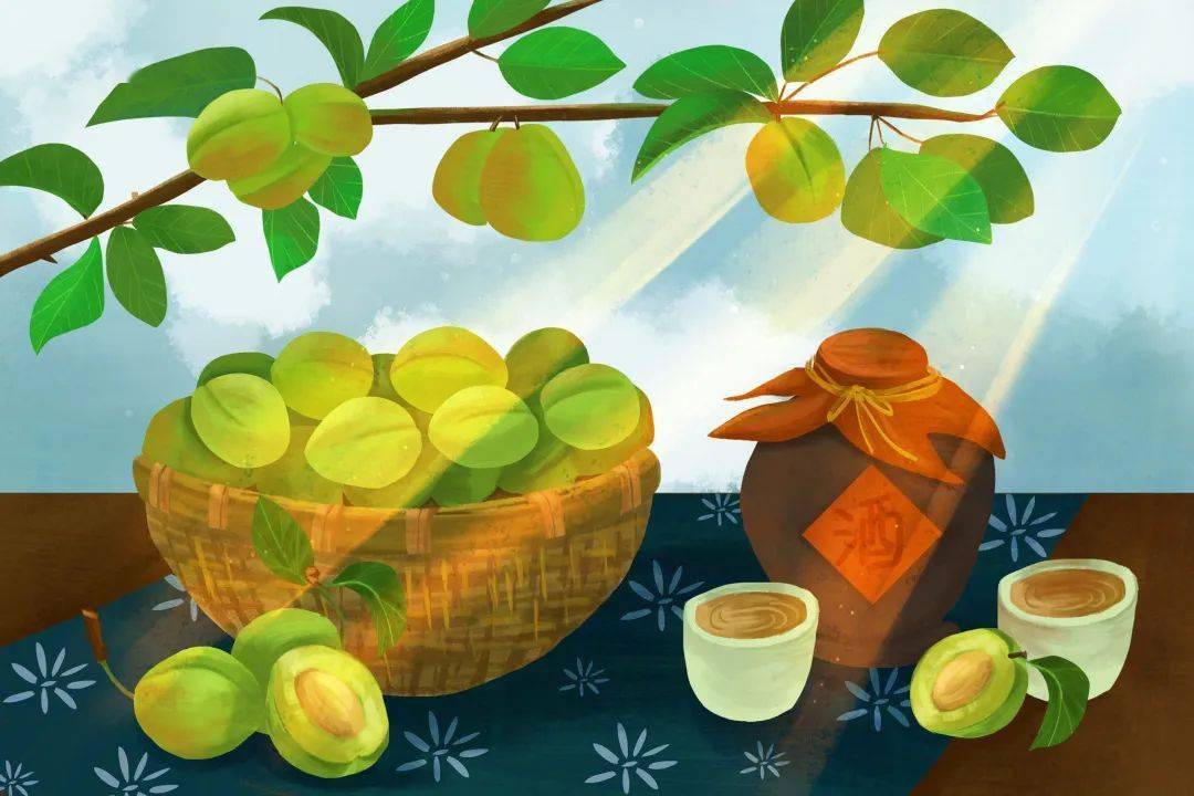 梅子黄时日日晴