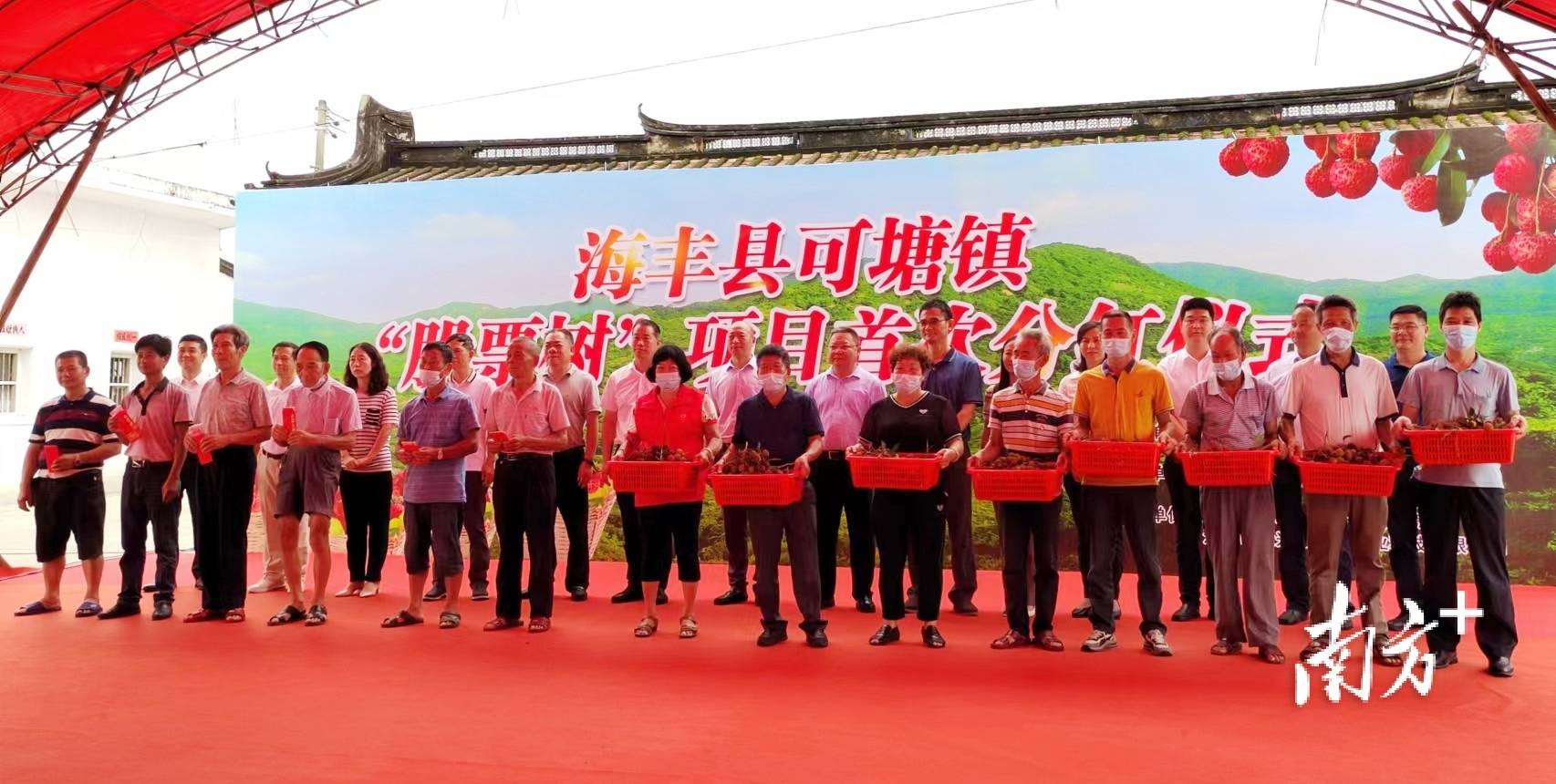 总计97万余元海丰县可塘镇股票树项目首次分红