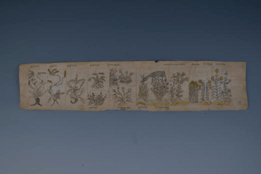 宇妥·元丹贡布是吐蕃王朝时期最杰出的医学家,同时也是藏医学理论