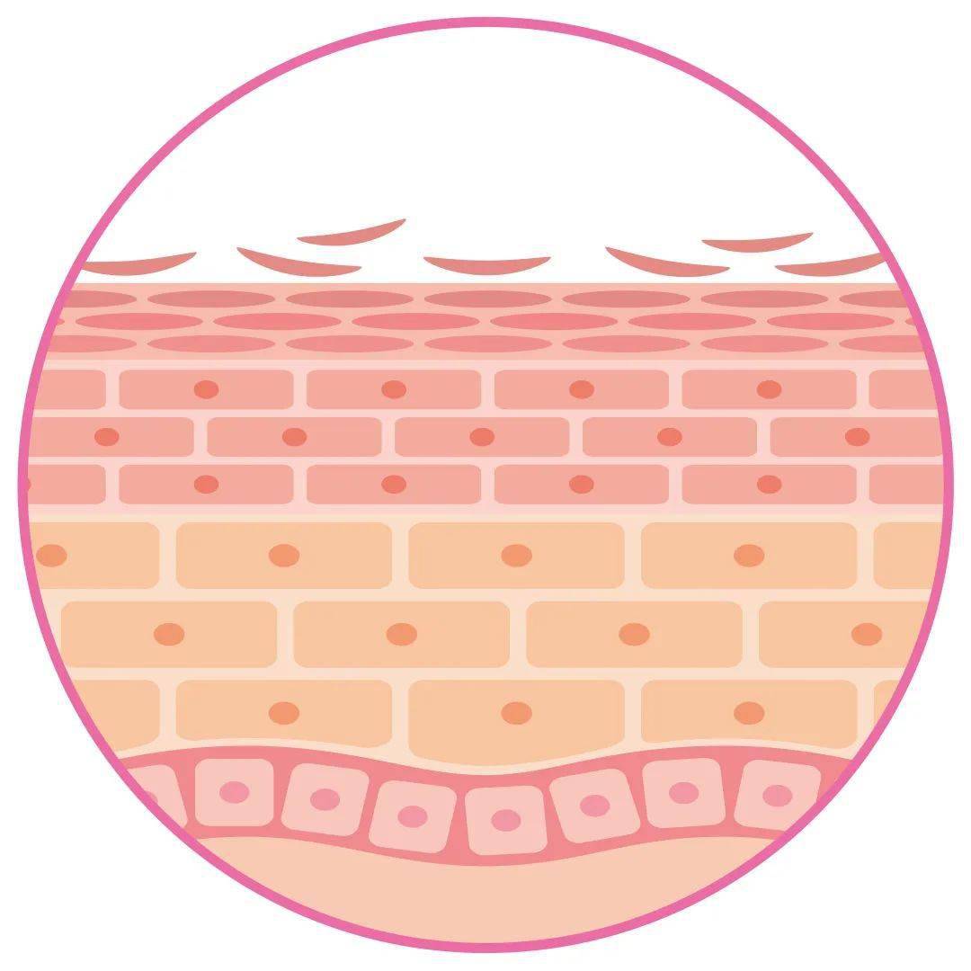 选对角质护理方法,黑头痘痘退!退!退!_肌肤_皮肤_细胞