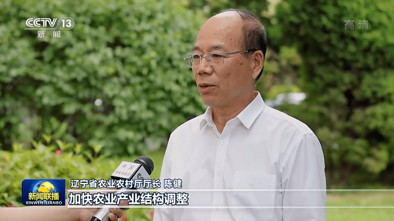 辽宁省农业农村厅厅长 陈健:以产业振兴为重要抓手,加快农业产业结构
