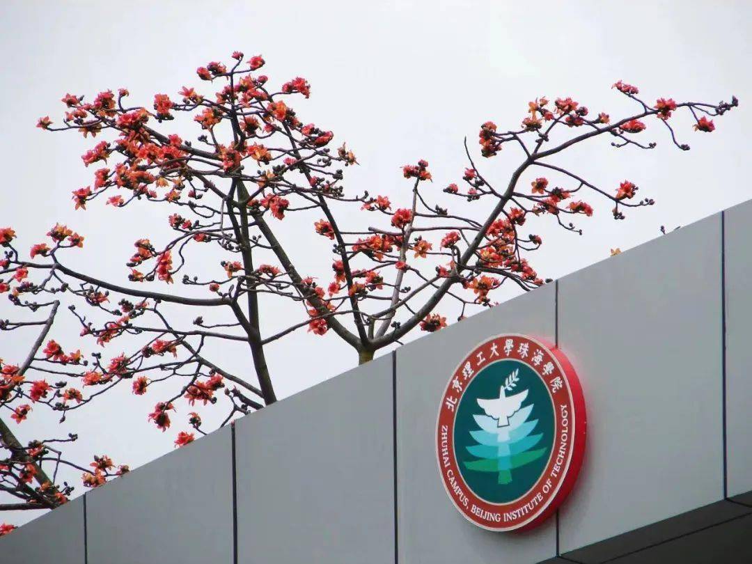 pick北理珠的13657种理由_京涛_海纳_姚温婷