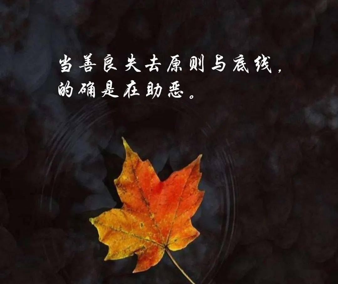 你若好到毫无保留对方就敢坏到肆无忌惮