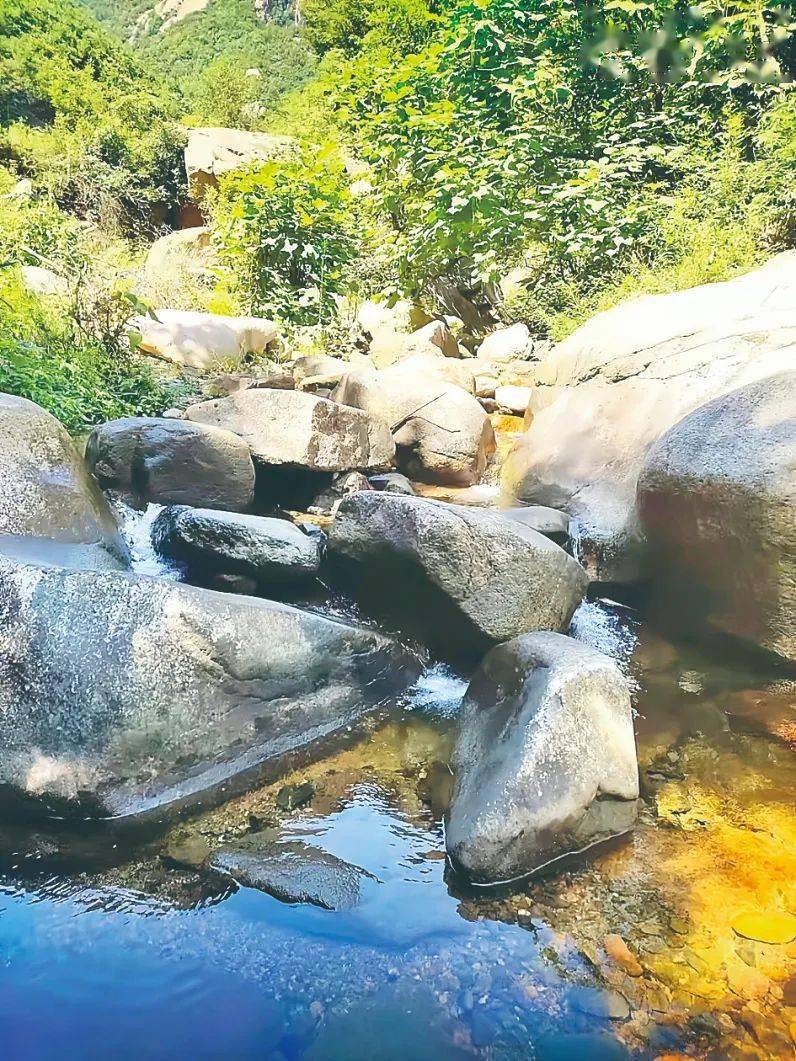 白鹰河,位于车村镇纸坊村,这里林木茂密,溪水潺潺.