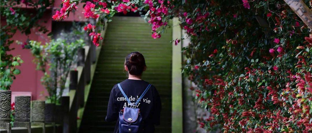大佛脚下的慢生活丨夏韵当时 奔赴热爱_夏日_乌尤_路间