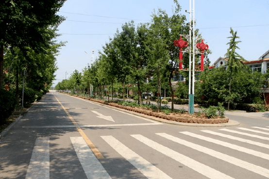 张汪镇人居环境综合整治观摩评比活动掠影二