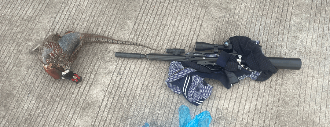 大胆拿着气枪偷猎雉鸡天台3男子蹲进了班房