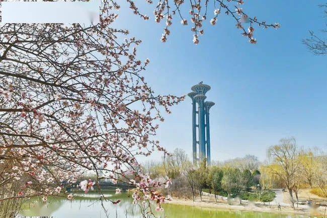 燃爆了（朝阳区南三环）朝阳区三化四区建设规划，(图3)