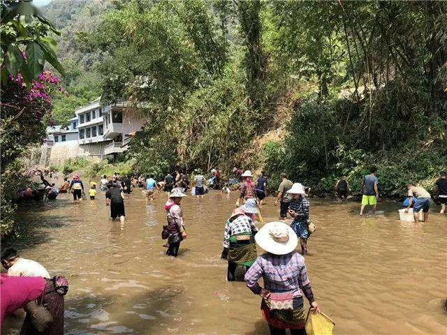 【向往的色彩】河长,让勐远水清岸美_村民_关累镇_河道
