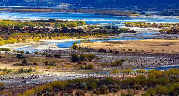 在雅尼国家湿地公园,守候江与河的浪漫邂逅_青藏高原_雅鲁藏布江_尼洋