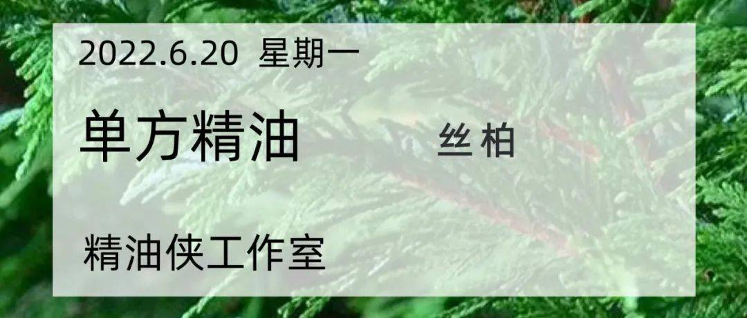 【单方】丝柏精油_循环_保养_部位