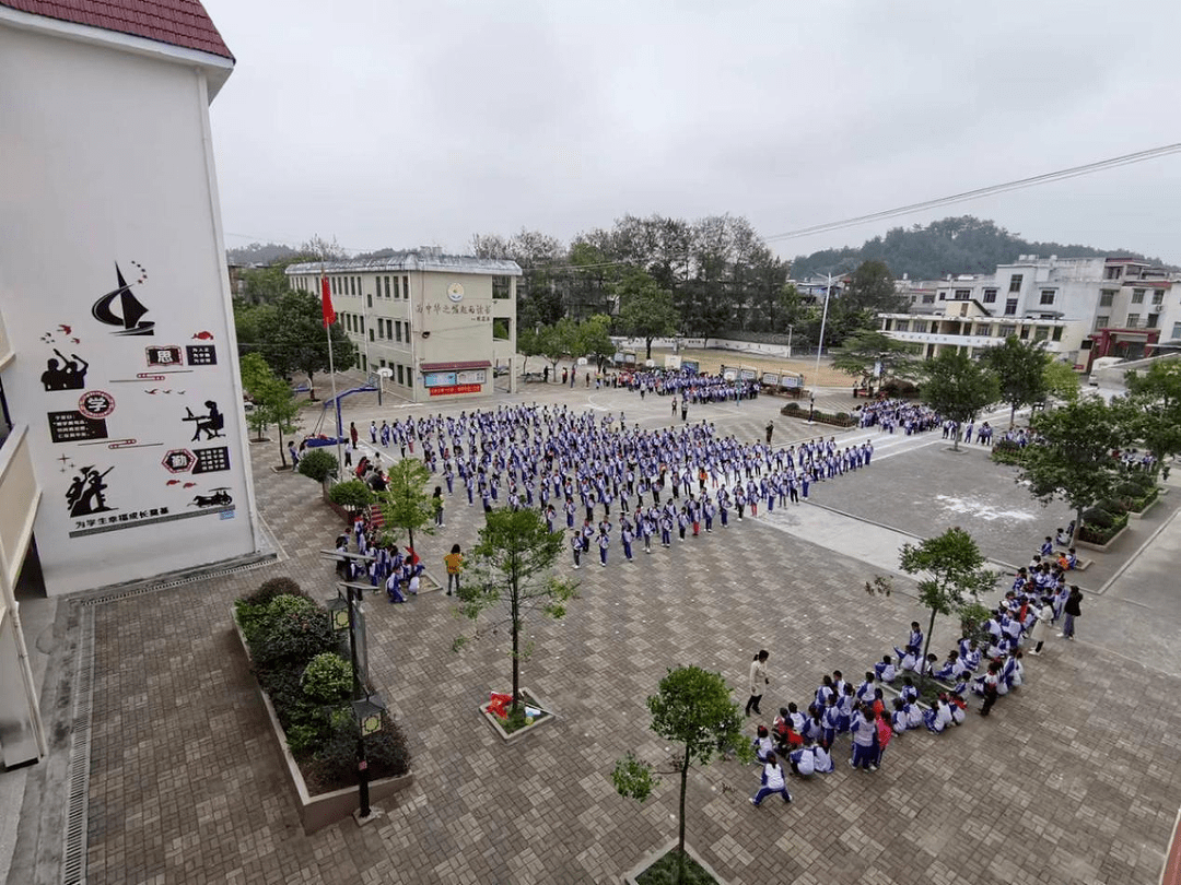 新田中心小学图片