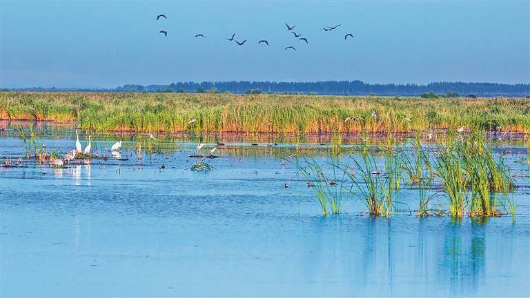 双鸭山一城山水满屏翠