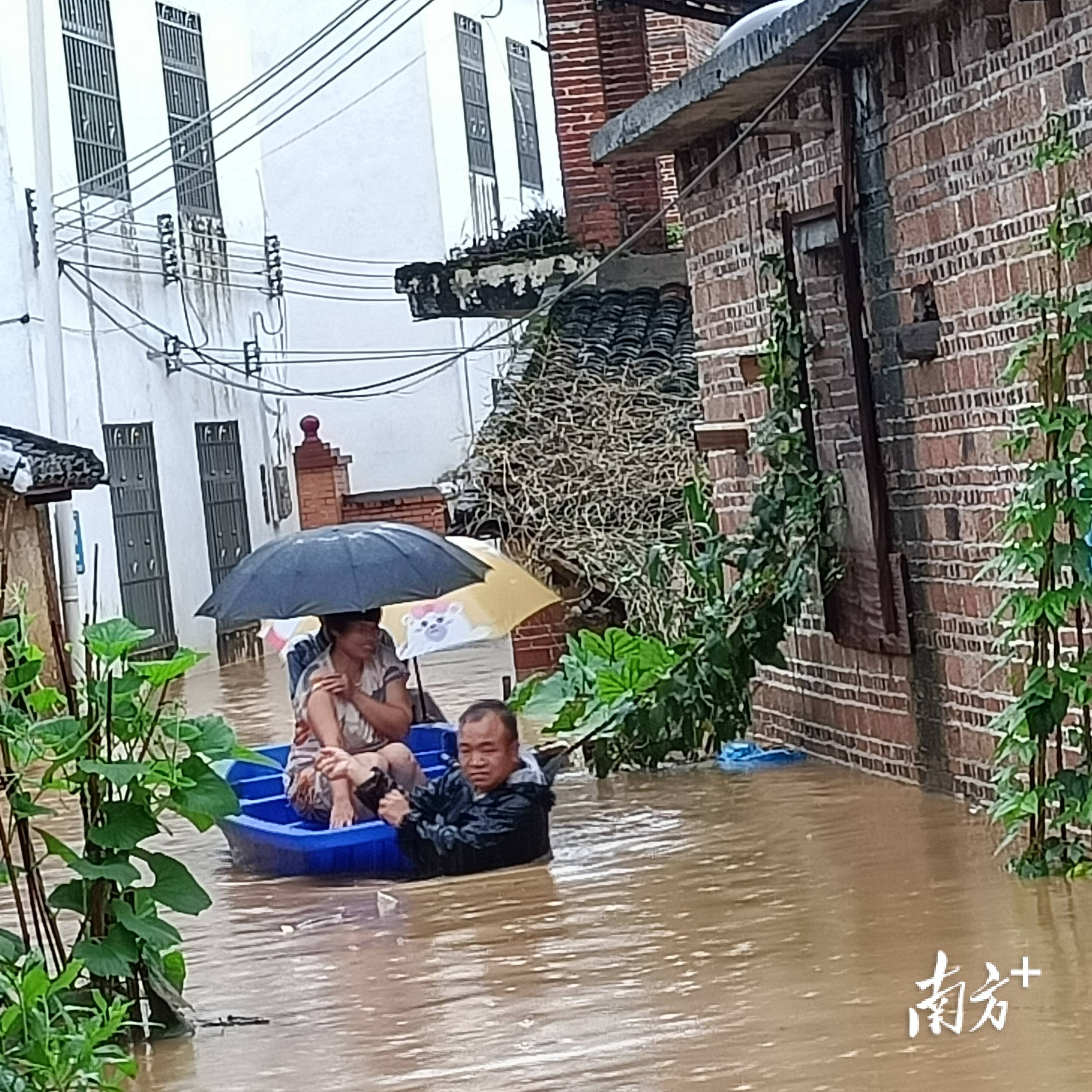 直击韶关仁化抗洪一线基层党员逆行显担当