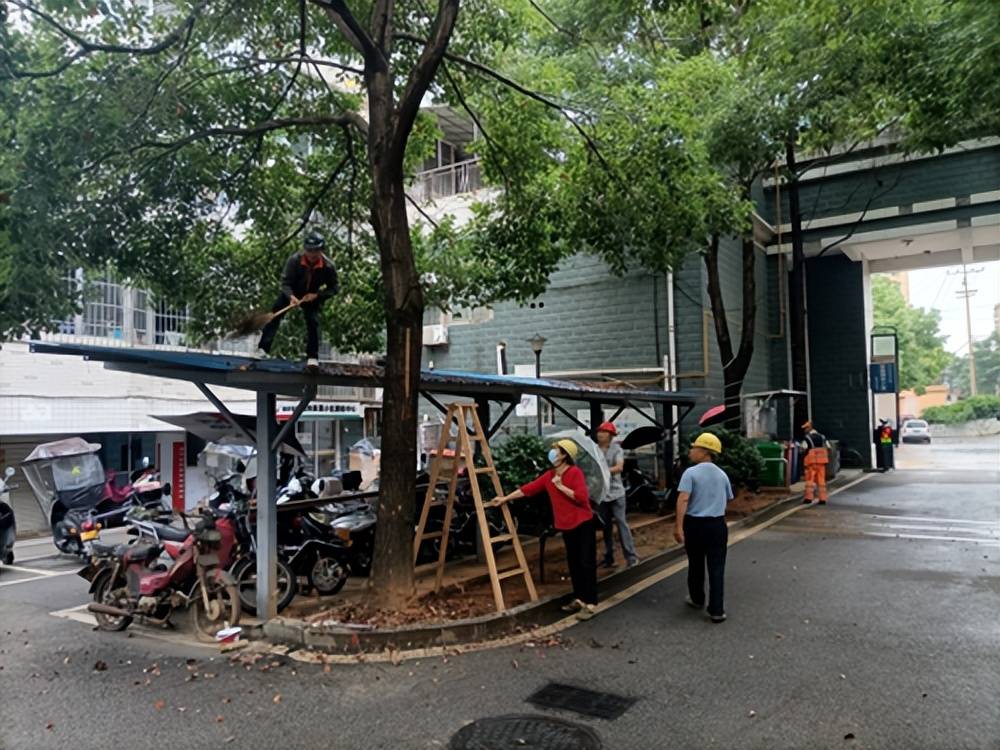 文明湘潭共同家园熙春路社区掀起创建热潮持续深化全国文明城市建设