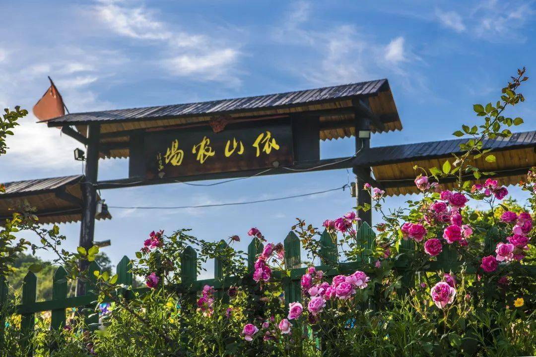 带上小孩子一起走进依山农场这个大乐园周末或空闲之余适合一年四季