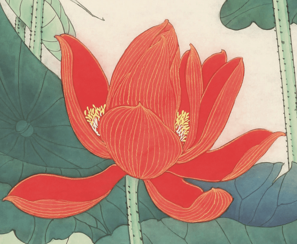 工笔红荷画法步骤解析