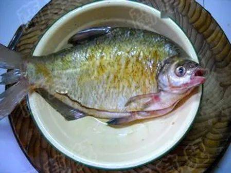 鱼腥的"克星"是它,不是葱和姜,做鱼时加一点,鱼肉鲜嫩无腥_维生素