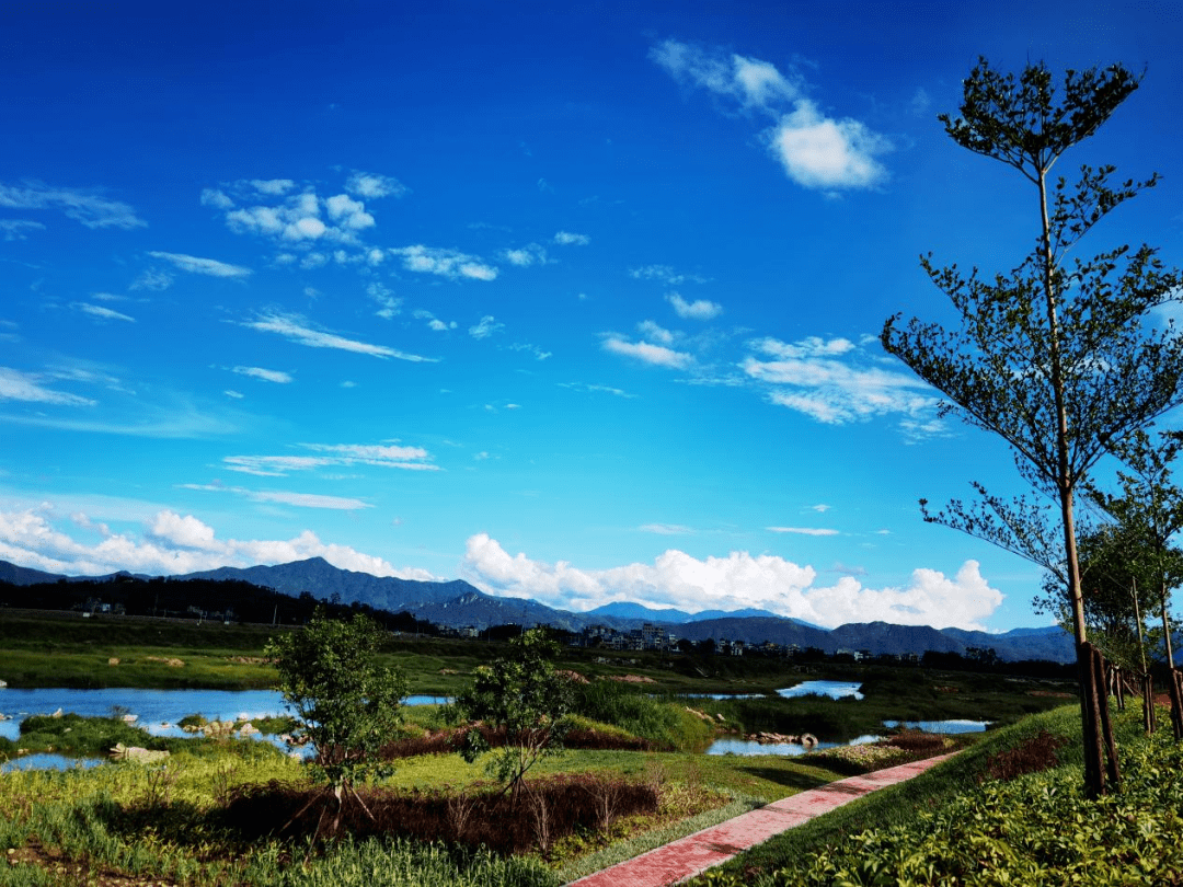 罗镜碧道东山公园集休闲,观光,纪念,集贸于一体,占地面积160亩,总投资