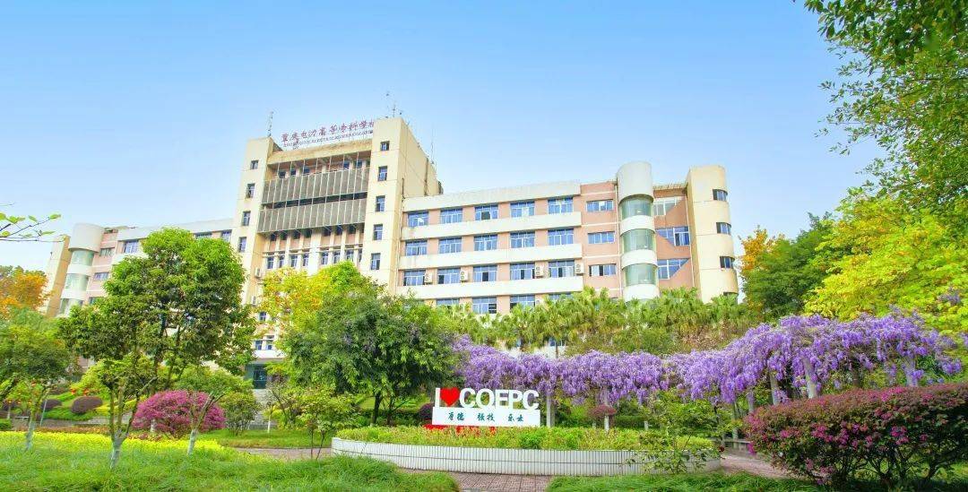 院校传真重庆电力高等专科学校中国特色高水平专业群立项建设单位