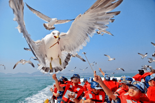 到海边去威海日照研学夏令营正在报名中