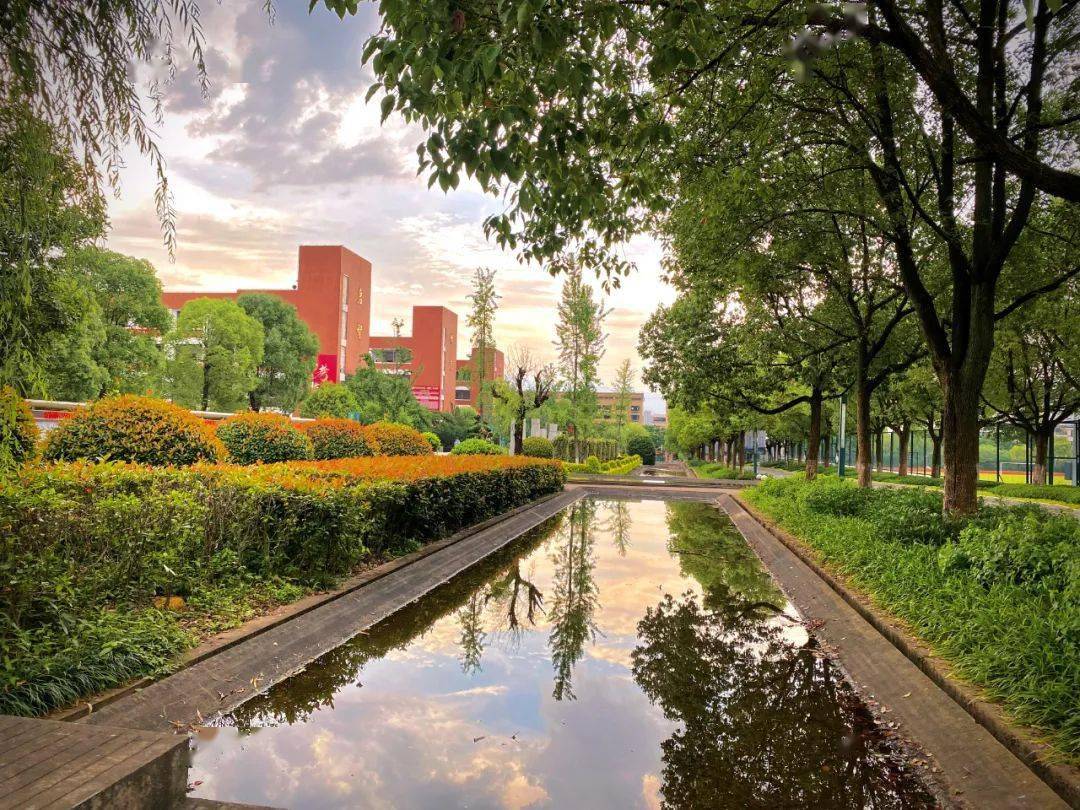 金华市中考招生直播咨询6月24日上线学校艾青中学