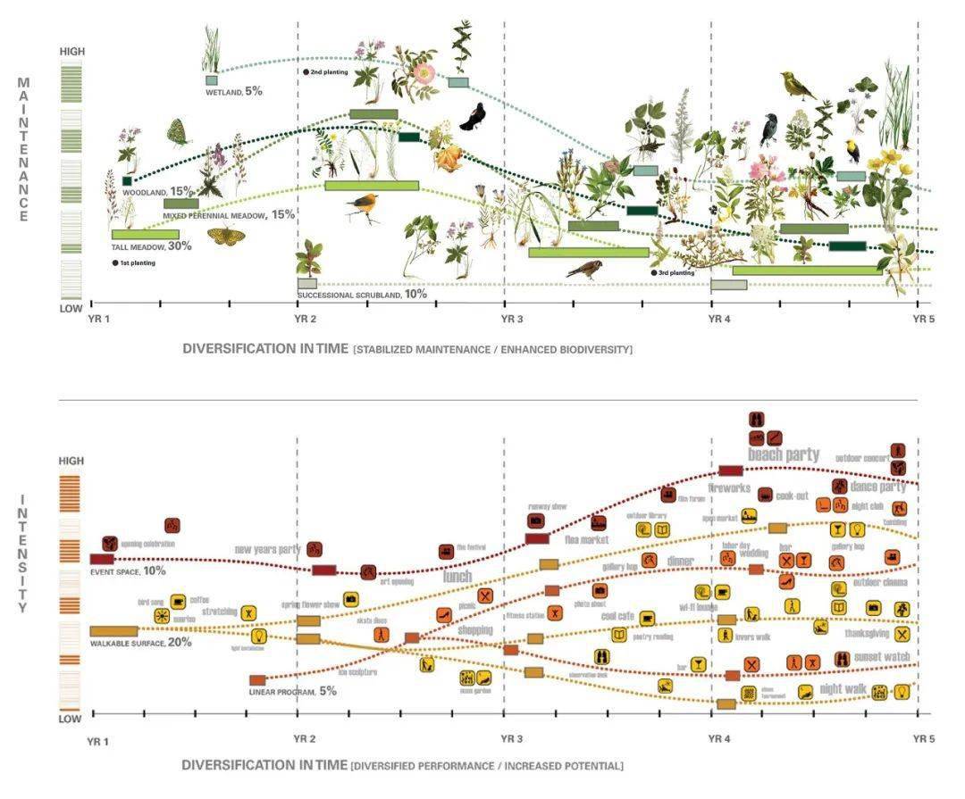 植物分析图也卷起来了_种植设计_颜色_综合类